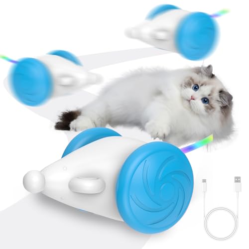 Hekasvm Katzenspielzeug Selbstbeschäftigung, Interaktives Katzenspielzeug, Spielzeug für Katzen, USB-C Aufladung, Bunt leuchtender Schwanz, Intelligente Sensorik, 2-Gang-Einstellung, BPA-frei (Blau) von Hekasvm