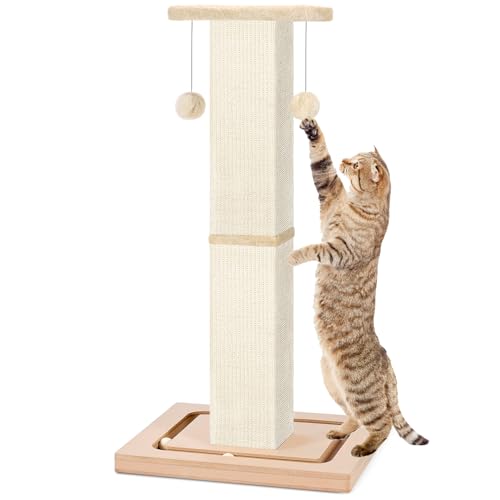 HelpCat 83,8 cm hoher Katzenkratzbaum, robuster Katzenkratzbaum mit Kugelbahn und hängendem Ball, Kratzbaum für Indoor-Katzen und Erwachsene von HelpCat