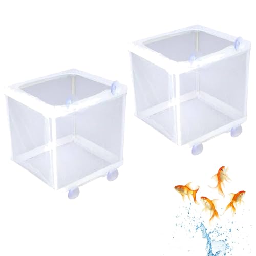 Aufzuchtbecken Aquarium, Ablaichkasten Aquarium, Fischzuchtkasten, Aquarium Fische Brutkasten, Aquarium Isolation Netz, Aquarium Züchter Trennnetz, Schwimmende Laichkasten, Fisch Isolation Zuchttank von Helweet