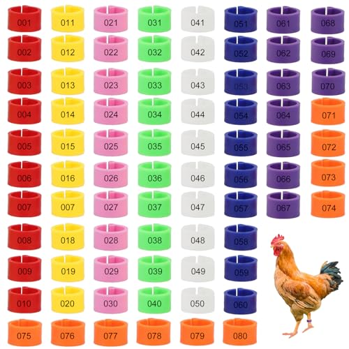 Hähnchenschenkelbänder Geflügelschenkelringe, Geflügel Band, 80 Stück Hühnerringe, Taubenringe, Identifikation Beinbänder, zur Markierung von Kleinen Geflügelfüßen, 8 Farben, mit Zahl, 16mm von Helweet