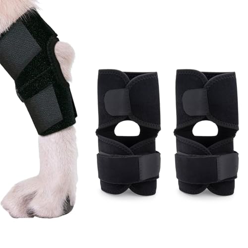 Kniebandage für Hunde, Hunde Bandage für Hinterbeine, Hunde Ellbogenschutz, Hund Gelenk Klammer Hinteres Bein, Hunde Hinten Bein Hock Bandage, Hund Vorderbein Gelenkstütze Hock Wickelhülse, Größe : S von Helweet