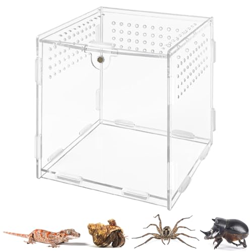 Reptile Fütterungsbox, Insect Feeding Box, Mini Terrarium Transportbox, Reptilienzuchtbox, Reptile Breeding Box, Transparent Reptil Zuchtfall, Reptil Fütterungsbox aus Acryl, 10 x 10 x 10 cm von Helweet