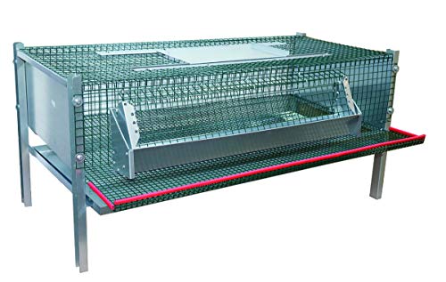 Hemel Legebox für Wachteln aus Metall 100 x 50 x 50 cm Nr. 41450 von Hemel