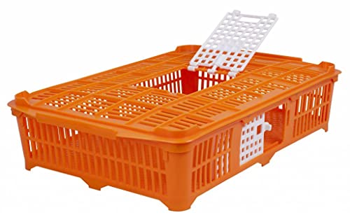 Hemel Transportbox für Geflügel, Stabil, Orange, 67 x 40 x 13 cm von Hemel