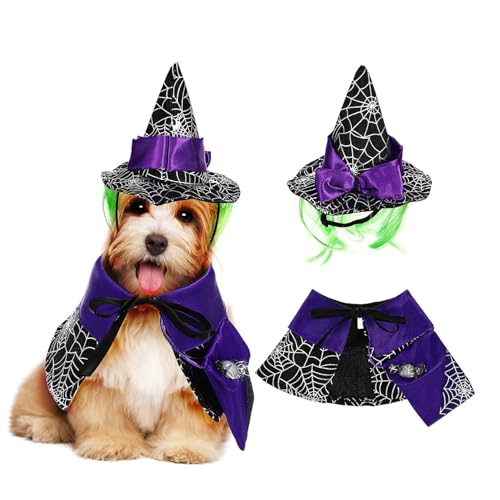 Hemobllo 1 Satz Halloween-katzenumhang Katzenhüte Nur Für Katzen Surround-Kleidung, Katzen-Haustier-umhang Haustierzubehör Haustier-Halloween Katzen-Outfit Katzenmantel Züchten Satin Violet von Hemobllo