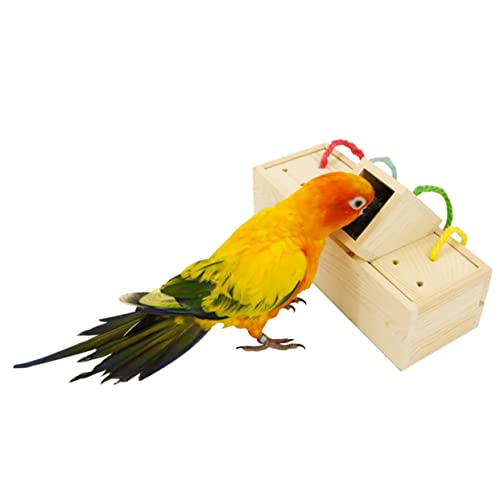 Hemobllo Pädagogisches Papagei Futtersuche Spielzeug Box Vogel Feeder Spielzeug für Nymphensittich Ara Conure Vogel Liefert von Hemobllo