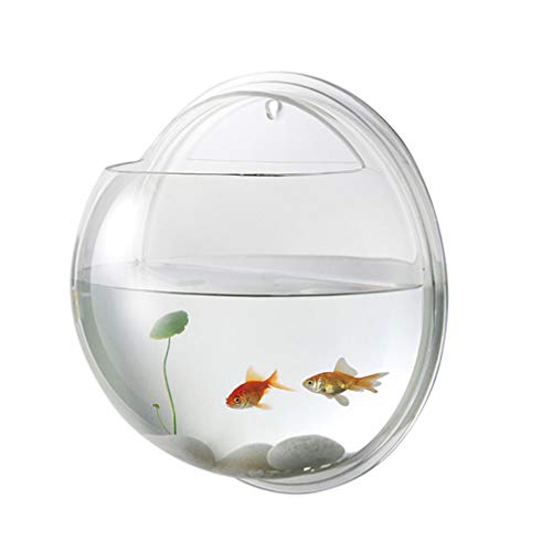 Hemobllo Minivasen für Blumen Blumentöpfe Aquarien Fischschalen Wandbehang Terrarium spielzeuge Aquarium Aquarienbedarf Aquarienbecken einzigartig Dekorationen Panzer Spender Kind schmücken von Hemobllo