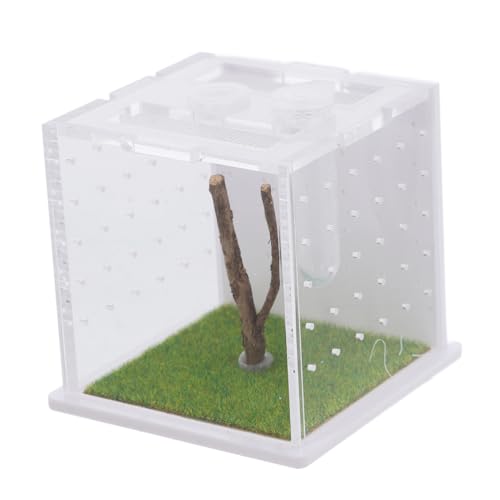 Hemobllo Box Springspinnen Zuchtbox Insektenhabitat Käfig Zuchtbehälter Reptilienkoffer Futterkoffer Insektenhabitatkoffer Insektenbehälter Springspinnen Terrarium Acryl von Hemobllo