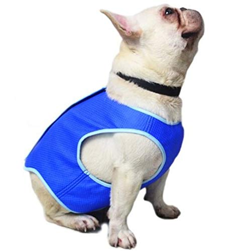 Hemobllo Eiskühlweste Für Hunde Sommerweste Für Hunde Hund Heizweste Sommerliche Hundeweste Weste Für Haustiere Hunde Donnerjacke Kühlshirt Für Hunde Kühlwesten Für Hunde Haustiermatte von Hemobllo