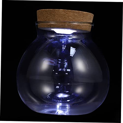 Hemobllo Landschaftsflasche Glas Vase Pflanzer Terrarium Fischgläser Aus Glas Behälter Mit Deckel Mini-aquariumflasche Desktop ?kologischen Flasche Weckgläser Holz Weiß 3D Einmachglas Klein von Hemobllo