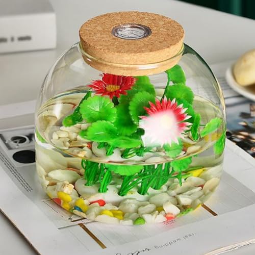 Terrariumglas, 5, 9 x 5, 1 Zoll transparentes Glaspflanzenterrarium mit Holzunterbrechungen, runde Fischschüsselglas für saftige Pflanzenblütentischdekor, Behälter von Hemore