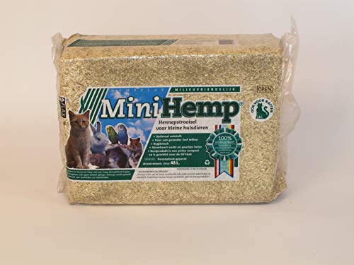 HempFlax 7000300 Mini Hemp, Gelb3 kg von Hemp Flax
