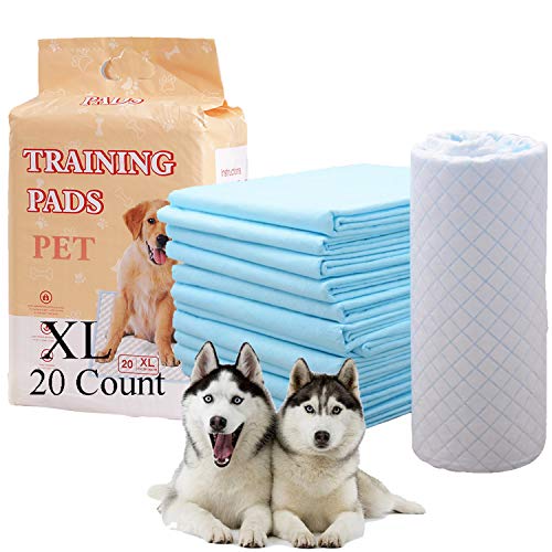 Herb Life Urin-Pads für Hunde, Welpen-Trainingspads, super saugfähige und auslaufsichere Töpfchen-Pads für Hunde, Haustierunterlagen, Kinder, Erwachsene, Urin, Unfälle (XL) (60 x 80 cm) von Herb Life