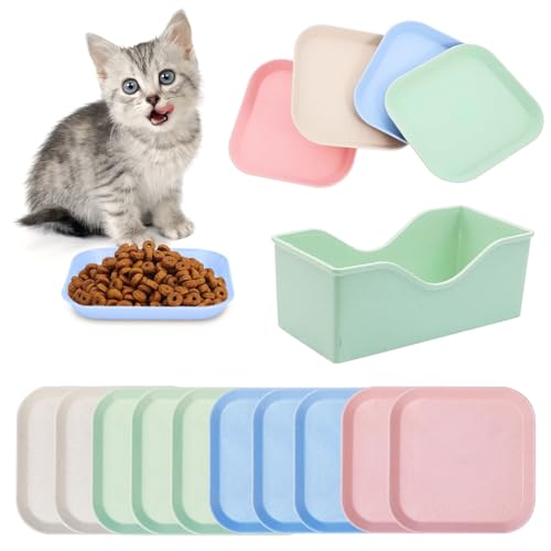 Herbst 10 Stück Katzennapf, Katzennapf Flach Quadrat Fressnapf Katze Bunt Katzenfutter Katzen Napfset mit Aufbewahrungsbasis, Katze Katzenteller Katzennäpfe für Trockenfutter und Nassfutter Herbst 10 Stück Katzennapf, Katzennapf Flach Quadrat Fressnapf Katze Bunt Katzenfutter Katzen Napfset mit Aufbewahrungsbasis, Katze Katzenteller Katzennäpfe für Trockenfutter und Nassfutter von Herbst