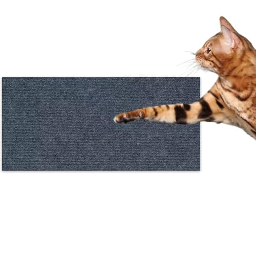 50 x 200cm Kratzmatte Selbstklebend,Katzenkratzmatten Selbstklebend, Climbing Cat Scratcher, Kratzbretter Katze, Kratzschutz Katzenkratzmatte für Schützt Teppiche Sofa Möbelschutz (Dunkelgrau) von Herjiore