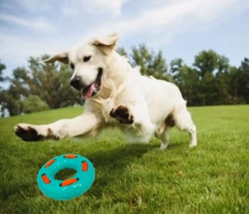 Hundespielzeug für Haustiere, robuster Nylonknochen mit Seilen, für Hunde, die gerne kauen, lustige Spielzeit und gerippte Oberfläche hilft, die Zähne zu reinigen (HR8546-RG) (Grün) von Hermans