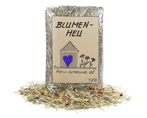 Blumenheu der Heu Scheune ® I 1 kg I getrocknte Blüten und Kräuter mit Heu I für Kaninchen, Meerschweinchen, Nager und Co. von Heu-Scheune.de