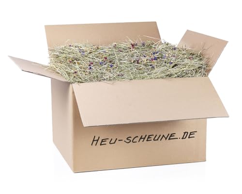 Blumenheu der Heu Scheune® I 10kg im Karton I naturreines Heu mit Blüten I für Kaninchen, Meerscheinchen, Nager, Pferde und Co. von Heu-Scheune.de