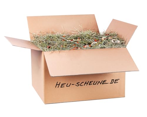 Gemüsemix der Heu Scheune® I 10kg im Karton I naturreines Heu mit Gemüse I für Kaninchen, Meerscheinchen, Nager, Pferde und Co. von Heu-Scheune.de