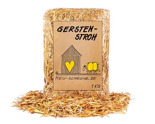 Gerstenstroh der Heu Scheune ® I 1 kg I saugstark, geruchshemmend, kompostierbar für Nager, Pferde und Co. von Heu-Scheune.de