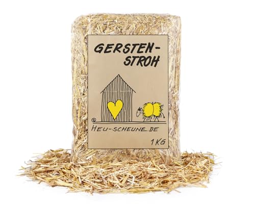 Gerstenstroh der Heu Scheune® I 1kg I Einstreu für Kaninchen, Meerschweinchen, Nager, Pferde und Co. von Heu-Scheune.de