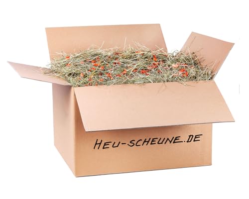 Karottenheu der Heu Scheune® I 10kg im Karton I naturreines Heu mit getrockneten Karotten I für Kaninchen, Meerscheinchen, Nager, Pferde und Co. von Heu-Scheune.de