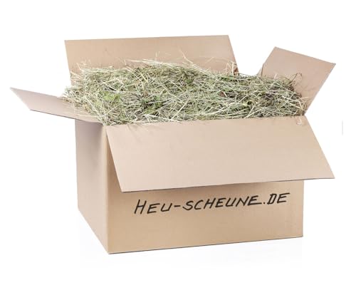 Löwenzahnheu der Heu Scheune® I 10kg im Karton I naturreines Heu mit Löwenzahnblättern I für Kaninchen, Meerscheinchen, Nager, Pferde und Co. von Heu-Scheune.de