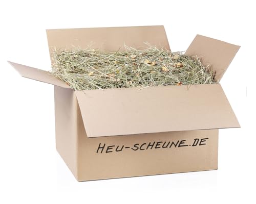 Obstsalat der Heu Scheune® I 10kg im Karton I naturreines Heu mit fruchtigem Obst I für Kaninchen, Meerscheinchen, Nager, Pferde und Co. von Heu-Scheune.de