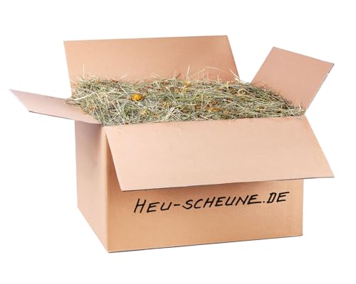 Vitalheu der Heu Scheune® I 10kg im Karton I naturreines Heu mit Heilblumen I für Kaninchen, Meerscheinchen, Nager, Pferde und Co. von Heu-Scheune.de