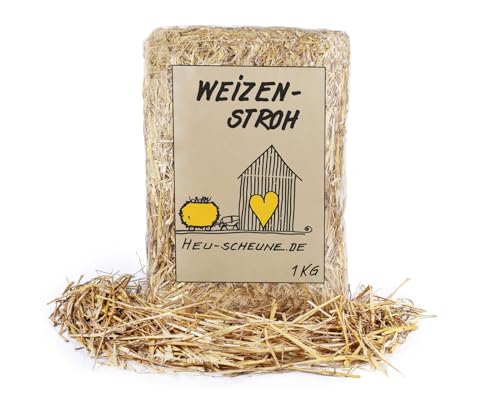Weizenstroh der Heu Scheune® I 1kg Tüte I Einstreu für Kaninchen, Meerschweinchen, Nager, Pferde und Co. von Heu-Scheune.de