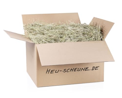 Wiesenheu der Heu Scheune ® I 10kg in Karton I 1. Schnitt I rohfaserreich für Kaninchen, Meerschweinchen, Nager, Pferde und Co. von Heu-Scheune.de