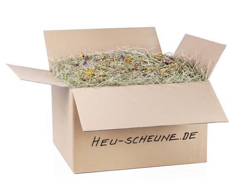 Wilde Blumenwiese der Heu Scheune® I 10kg im Karton I naturreines Heu mit Wildblumen I für Kaninchen, Meerscheinchen, Nager, Pferde und Co. von Heu-Scheune.de