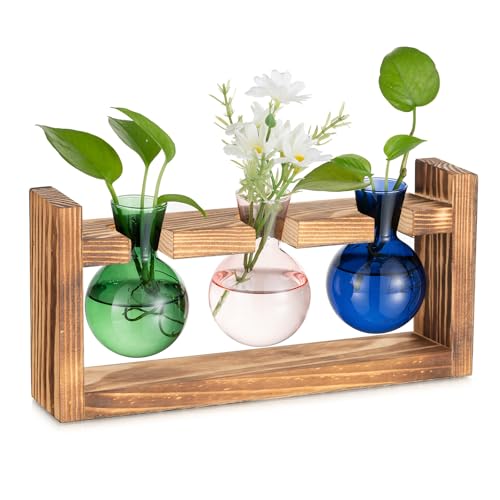 Hewory Propagation Station Geschenke für Frauen: Bunt Vasen Deko Terrarium Glas Kleine Vasen für Tischdeko Esstisch - Vintage Deko Vase Glas Ableger Pflanzen Glas mit Ständer für Deko Wohnzimmer von Hewory