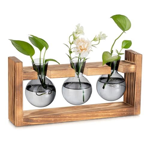 Hewory Propagation Station Geschenke für Frauen: Grau Vasen Deko Terrarium Glas Kleine Vasen für Tischdeko Esstisch - Vintage Deko Vase Glas Ableger Pflanzen Glas mit Ständer für Deko Wohnzimmer von Hewory