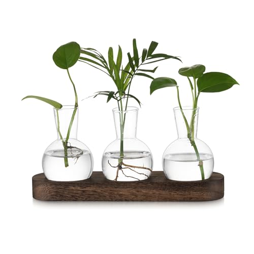 Hewory Terrarium Pflanzen Blumenvase Hydrokultur: Vintage Propagation Station Hydroponic Kleine Vasen für Tischdeko, Terrarium Glas Vase mit Tablett Braunt, 3 Glasvase Klein für Tischdeko Büro Deko von Hewory