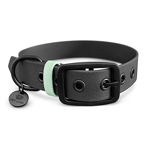 BioThane Halsband Sport | Hundeerziehung | zweifarbig | wasserfest |sehr kleine bis sehr große Hunde | stylish und sportlich | Made in Germany (M (36-46 cm)) von Hey Lana