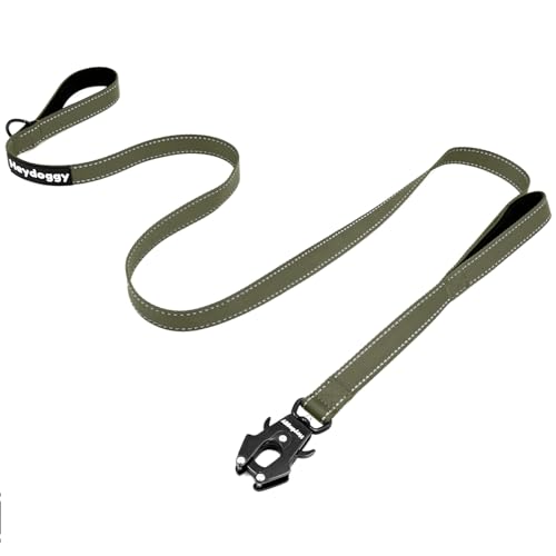 Robuste, strapazierfähige Hundeleine, 1,5 m, reflektierendes Nylon, Trainingsleine mit weich gepolstertem Doppelgriff und automatischer Verriegelung, Froschclip, Sicherheitsverkehrskontrolle für von Heydoggy