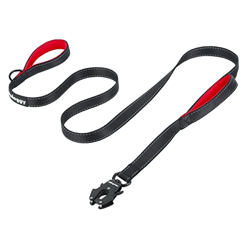 Robuste robuste Hundeleine – 1.8 m reflektierende Nylon-Trainingsleine mit weich gepolstertem Doppelgriff und automatischer Verriegelung,Rot, 1.8 m von Heydoggy