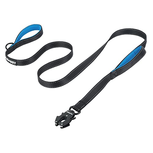 Robuste robuste Hundeleine – 1.8 m reflektierende Nylon-Trainingsleine mit weich gepolstertem Doppelgriff und automatischer Verriegelung,Blau, 1.8 m von Heydoggy