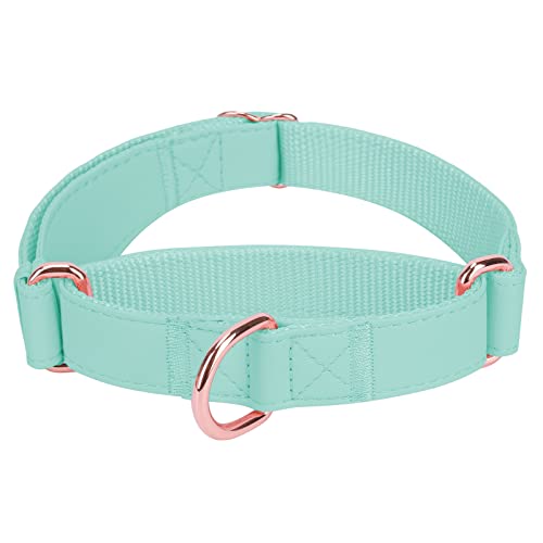 Weich Leder Hundehalsband, Verstellbar Hund Halsband mit Nylon Geflochten & Zugstopp, Stilvollen Rose Gold Metall Zughalsband Dressurhalsband für Kleine Mittlere Große Hund Anti-Zug Walken XS,Minzgrün von Heydoggy