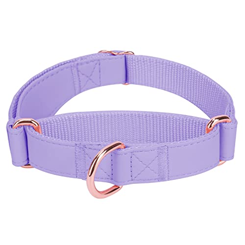 Weich Leder Hundehalsband, Verstellbar Hund Halsband mit Nylon Geflochten & Zugstopp, Stilvollen Rose Gold Metall Zughalsband Dressurhalsband für Kleine Mittlere Große Hund Anti-Zug Walken M HViolet von Heydoggy