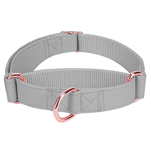 Weich Leder Hundehalsband, Verstellbar Hund Halsband mit Nylon Geflochten & Zugstopp, Stilvollen Rose Gold Metall Zughalsband Dressurhalsband für Kleine Mittlere Große Hund Anti-Zug Walken XS Grau von Heydoggy