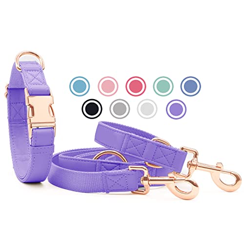 Weich Leder Hundehalsband und Leine (2m) Set - 3-Fach Verstellbar Hundeleine mit Halsband, Stilvollen Rose Gold Metall Schnalle & Nylon Hund Leinen für Welpen Kleine Mittlere Große Hunde HeViolett,M von Heydoggy