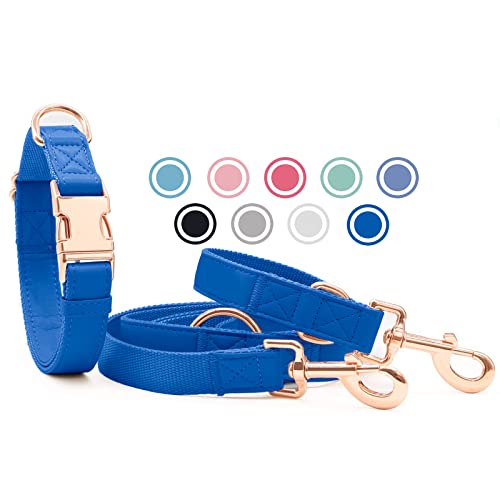 Weich Leder Hundehalsband und Leine (2m) Set - 3-Fach Verstellbar Hundeleine mit Halsband, Stilvollen Rose Gold Metall Schnalle & Nylon Hund Leinen für Welpen Kleine Mittlere Große Hunde Navyblau,XS von Heydoggy