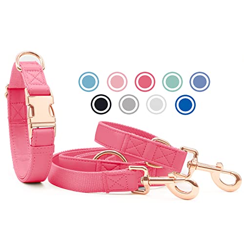 Weich Leder Hundehalsband und Leine (2m) Set - 3-Fach Verstellbar Hundeleine mit Halsband, Stilvollen Rose Gold Metall Schnalle & Nylon Hund Leinen für Welpen Kleine Mittlere Große Hunde RoseRosa,XS von Heydoggy