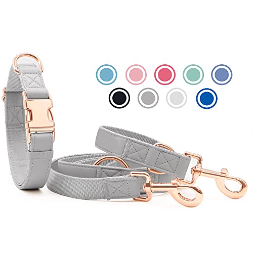 Weich Leder Hundehalsband und Leine (2m) Set - 3-Fach Verstellbar Hundeleine mit Halsband, Stilvollen Rose Gold Metall Schnalle & Nylon Hund Leinen für Welpen Kleine Mittlere Große Hunde Grau,M von Heydoggy