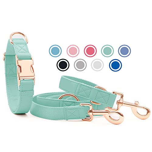 Weich Leder Hundehalsband und Leine (2m) Set - 3-Fach Verstellbar Hundeleine mit Halsband, Stilvollen Rose Gold Metall Schnalle & Nylon Hund Leinen für Welpen Kleine Mittlere Große Hunde Grün,L von Heydoggy