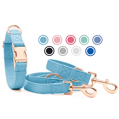 Weich Leder Hundehalsband und Leine (2m) Set - 3-Fach Verstellbar Hundeleine mit Halsband, Stilvollen Rose Gold Metall Schnalle & Nylon Hund Leinen für Welpen Kleine Mittlere Große Hunde HellBlau,L von Heydoggy