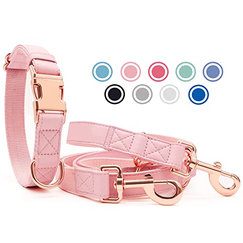 Weich Leder Hundehalsband und Leine (2m) Set - 3-Fach Verstellbar Hundeleine mit Halsband, Stilvollen Rose Gold Metall Schnalle & Nylon Hund Leinen für Welpen Kleine Mittlere Große Hunde Rosa,L von Heydoggy