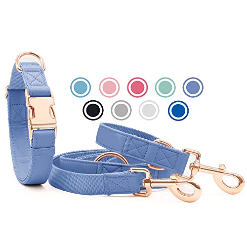 Weich Leder Hundehalsband und Leine (2m) Set - 3-Fach Verstellbar Hundeleine mit Halsband, Stilvollen Rose Gold Metall Schnalle & Nylon Hund Leinen für Welpen Kleine Mittlere Große Hunde Violett,L von Heydoggy